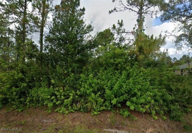 Lehigh Acres Area Lot For Sale in Lehigh Acres Florida
