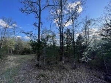 Excellent Wooded 6.9 acres with Hwy 125 Road Frontage in Peel - photo 2