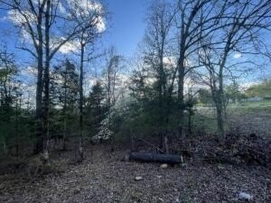 Excellent Wooded 6.9 acres with Hwy 125 Road Frontage in Peel - photo 3