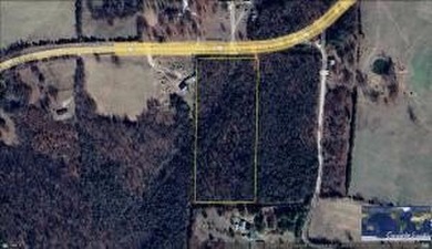 Excellent Wooded 6.9 acres with Hwy 125 Road Frontage in Peel - photo 5
