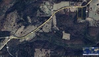Excellent Wooded 6.9 acres with Hwy 125 Road Frontage in Peel - photo 6
