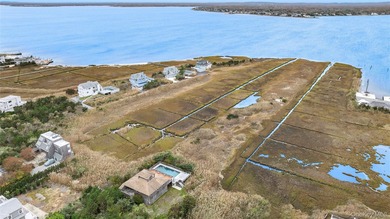 With unobstructed water views over +/-4.2 acres, this - photo 17