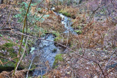 Lake Acreage For Sale in Donnelly, Idaho