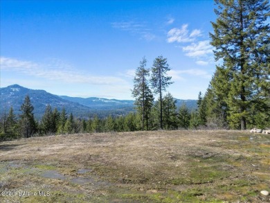 Lake Acreage For Sale in Cocolalla, Idaho