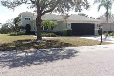 Lake Home For Sale in Sun City Center, Florida