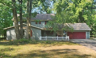 (private lake, pond, creek) Home For Sale in Canadian Lakes Michigan