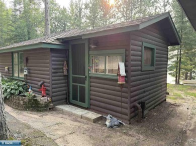 Lake Home For Sale in Gilbert, Minnesota