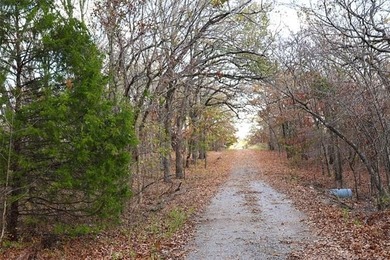 Situated approximately 0.3 miles from Whitehorn Cove at Fort - photo 5