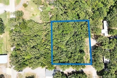 Situated approximately 0.3 miles from Whitehorn Cove at Fort - photo 8