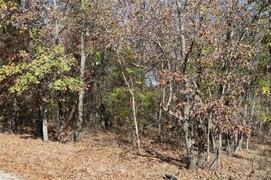 Situated approximately 0.3 miles from Whitehorn Cove at Fort - photo 9