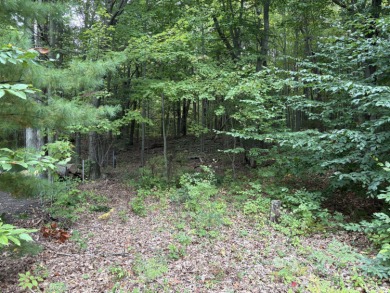 Lake Michigan - Oceana County Lot For Sale in Mears Michigan