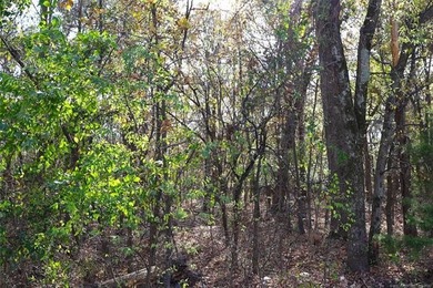 Situated approximately 0.3 miles from Whitehorn Cove at Fort - photo 2