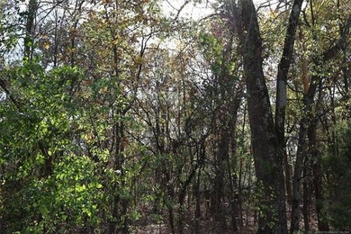 Situated approximately 0.3 miles from Whitehorn Cove at Fort - photo 3