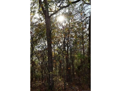 Situated approximately 0.3 miles from Whitehorn Cove at Fort - photo 4