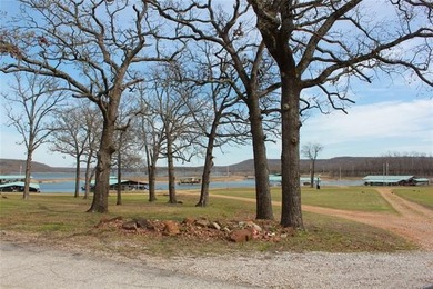 Situated approximately 0.3 miles from Whitehorn Cove at Fort - photo 5