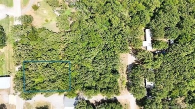 Situated approximately 0.3 miles from Whitehorn Cove at Fort - photo 10