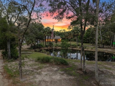 (private lake, pond, creek) Home For Sale in Yankeetown Florida
