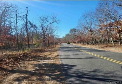 PRIME 11.8 ACRE PARCEL IN EAST HAMPTON, ALOT OF POTENTIAL FOR - photo 2