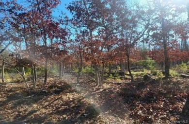 PRIME 11.8 ACRE PARCEL IN EAST HAMPTON, ALOT OF POTENTIAL FOR - photo 3