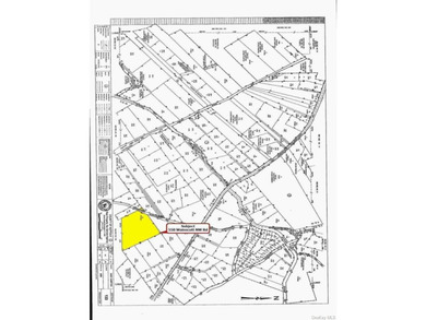 PRIME 11.8 ACRE PARCEL IN EAST HAMPTON, ALOT OF POTENTIAL FOR - photo 4