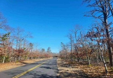 PRIME 11.8 ACRE PARCEL IN EAST HAMPTON, ALOT OF POTENTIAL FOR - photo 6