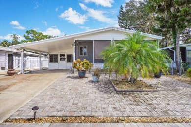 (private lake, pond, creek) Home For Sale in Debary Florida