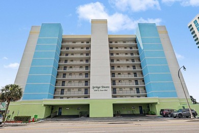 The ocean views are spectacular from this stunning 3 bed 2 bath - photo 41