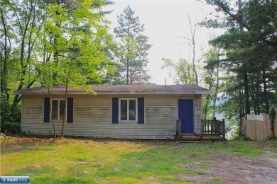 Lake Home For Sale in Side Lake, Minnesota