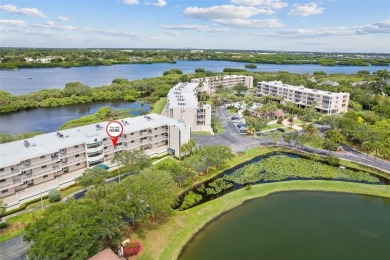 (private lake, pond, creek) Condo For Sale in St. Petersburg Florida