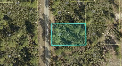 Lehigh Acres Area Lot For Sale in Lehigh Acres Florida