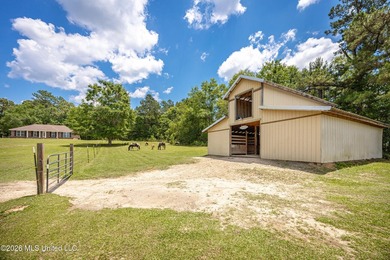 Tucked away on nearly 10 beautiful acres in Saucier, this - photo 4