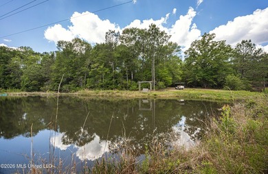 Tucked away on nearly 10 beautiful acres in Saucier, this - photo 6