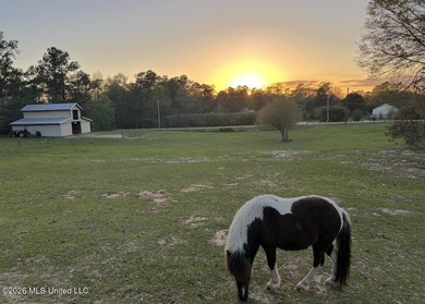 Tucked away on nearly 10 beautiful acres in Saucier, this - photo 7