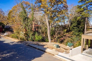 Arkansas River Lot For Sale in Little Rock Arkansas