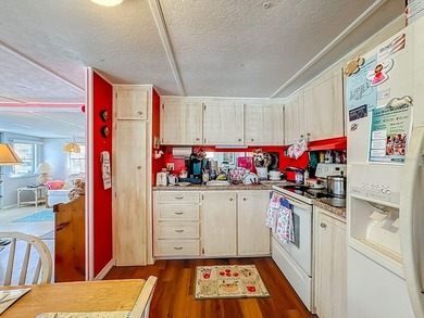 Welcome to Leisure Lake, a charming 55+ cooperative in Palmetto - photo 13