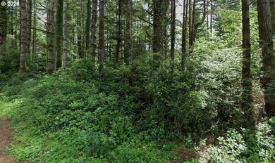 Quiet, private 0.23-acre lot located in Glenada in a developed - photo 1