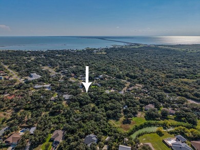 Lamar Peninsula Retreat under Majestic Coastal Oaks. Nestled - photo 7