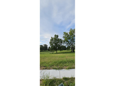 (private lake, pond, creek) Lot For Sale in Springfield Missouri