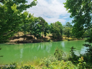 Experience luxury lake living in one of WindRiver's most - photo 3