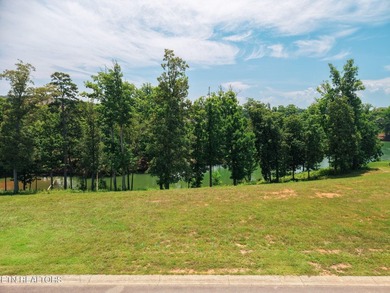 Experience luxury lake living in one of WindRiver's most - photo 4