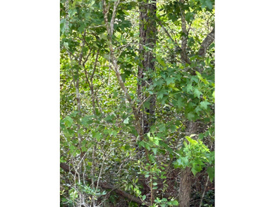 Boiling Spring Lake Lot For Sale in Southport North Carolina