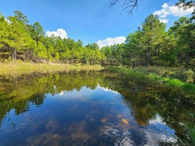 Lake Acreage For Sale in Talihina, Oklahoma