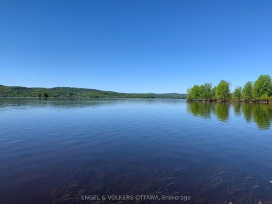 Lake Lot For Sale in Alfred And Plantagenet,