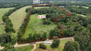 Fully Fenced, Pond, and Just 1 Mile from Hwy 82! Exceptional - photo 1