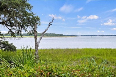 Watch dolphins swim, manatees, bird and wildlife all from this - photo 13
