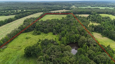 Fully Fenced, Pond, and Just 1 Mile from Hwy 82! Exceptional - photo 3