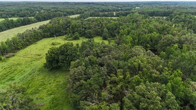 Fully Fenced, Pond, and Just 1 Mile from Hwy 82! Exceptional - photo 7