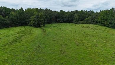 Fully Fenced, Pond, and Just 1 Mile from Hwy 82! Exceptional - photo 8
