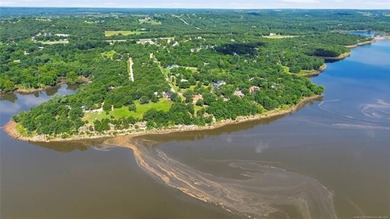 Experience lakefront living in this beautifully renovated home - photo 20