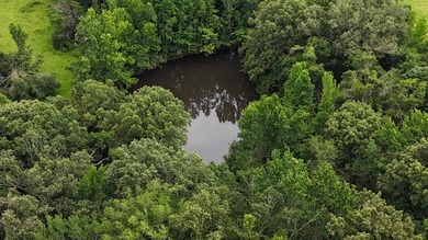 Fully Fenced, Pond, and Just 1 Mile from Hwy 82! Exceptional - photo 10